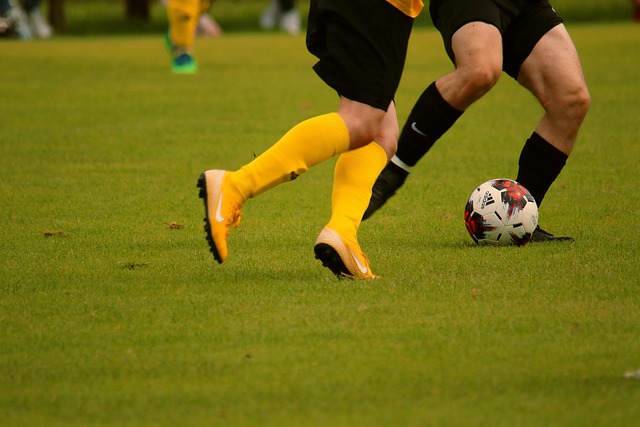 主场安菲尔 主场安菲尔