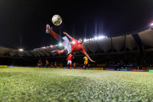 新老交替期 新老交替期